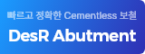 DeSR Abutment